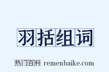 羽括组词是什么意思的图片